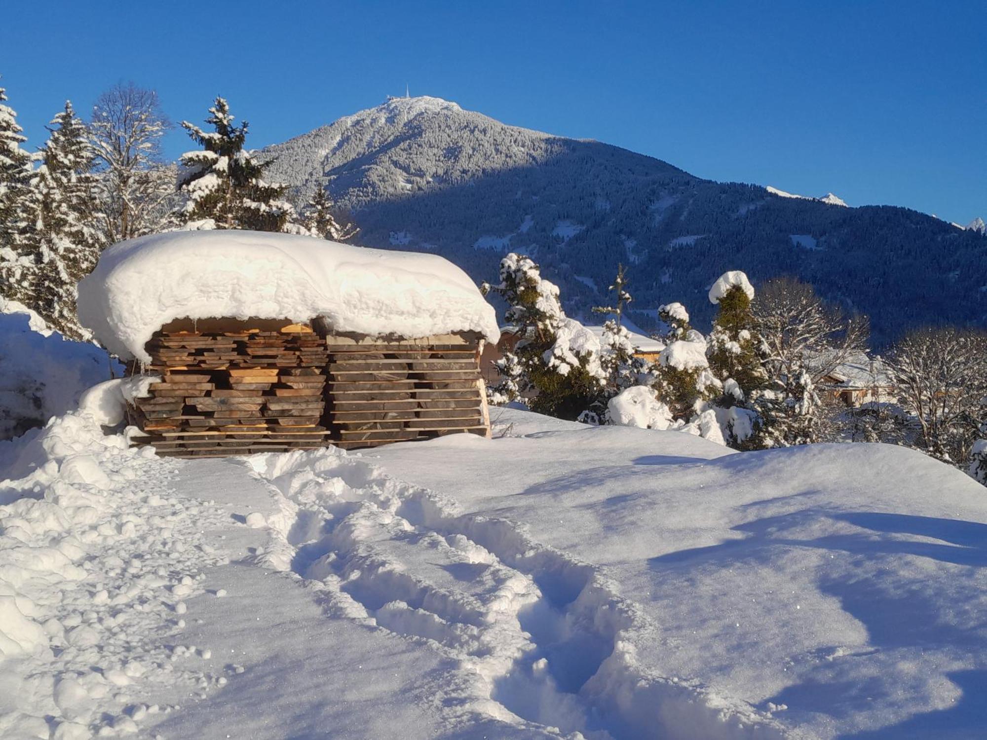 Haus Hotz Apart Talblick Grins Kültér fotó